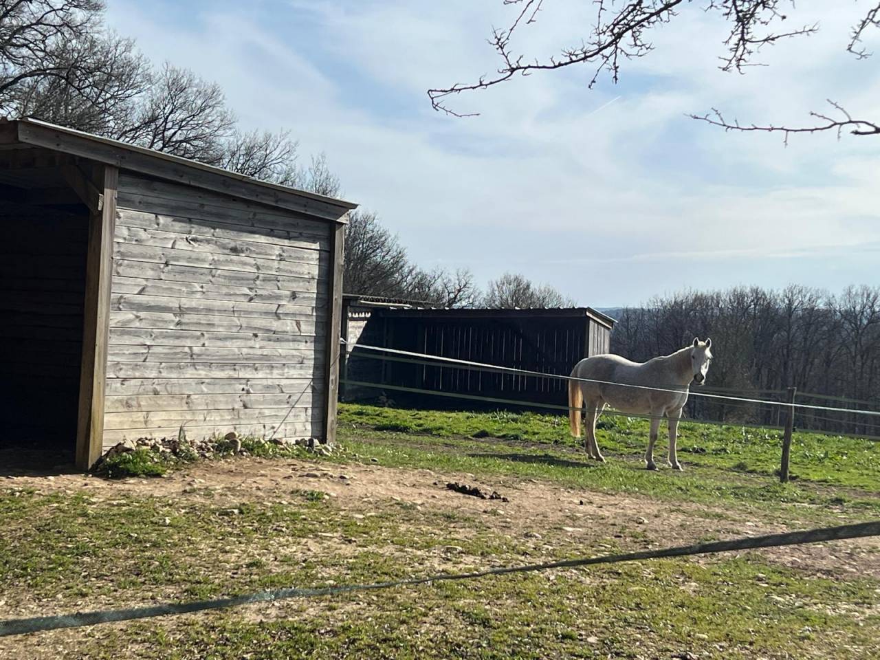 Mooi hippisch vastgoed Koop Lot