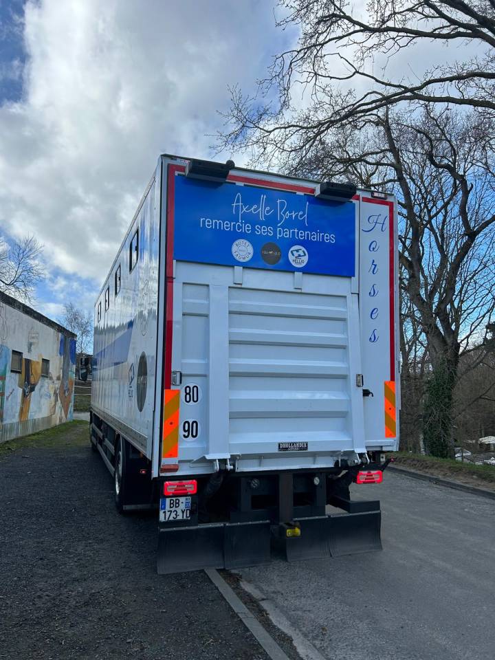 Zware paardenvrachtwagen (groot rijbewijs) Renault midle 2011 Tweedehands
