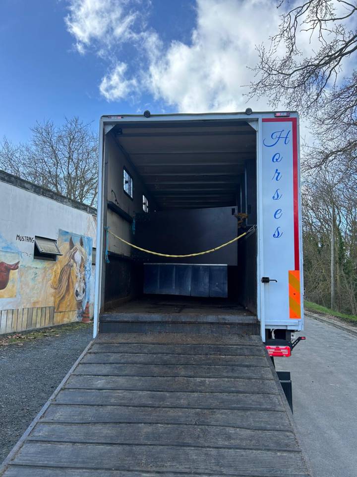 Zware paardenvrachtwagen (groot rijbewijs) Renault midle 2011 Tweedehands