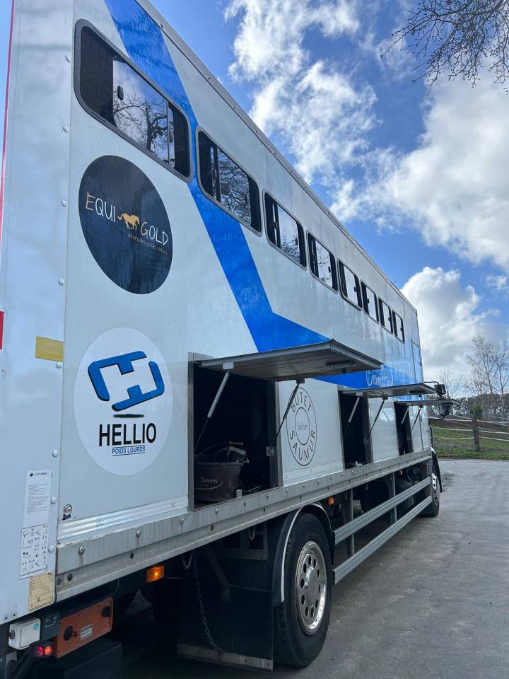 Zware paardenvrachtwagen (groot rijbewijs) Renault midle 2011 Tweedehands