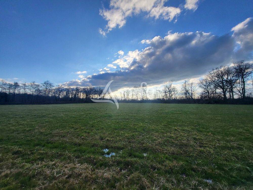 Hippisch vastgoed Koop Ain