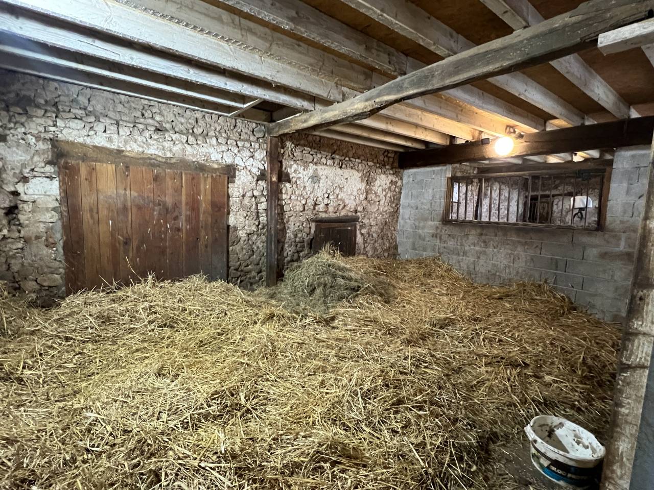 Stoeterij Koop Allier