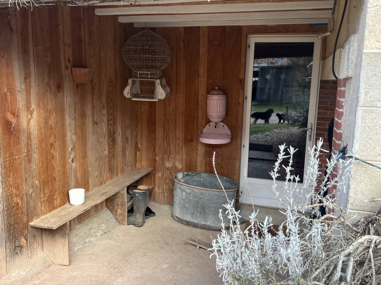 Stoeterij Koop Allier