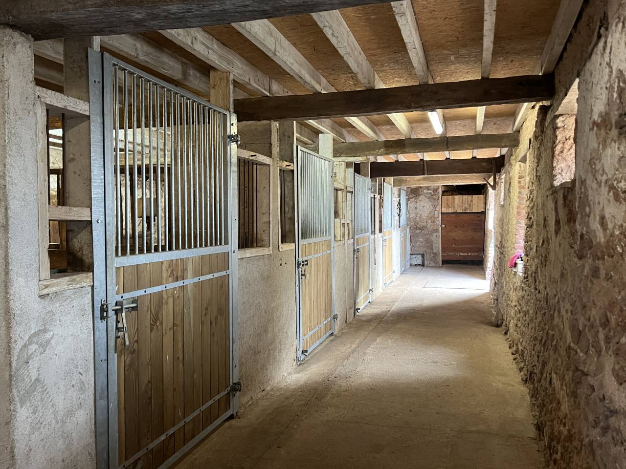 Stoeterij Koop Allier