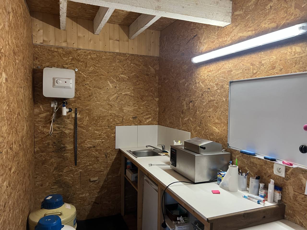 Stoeterij Koop Allier