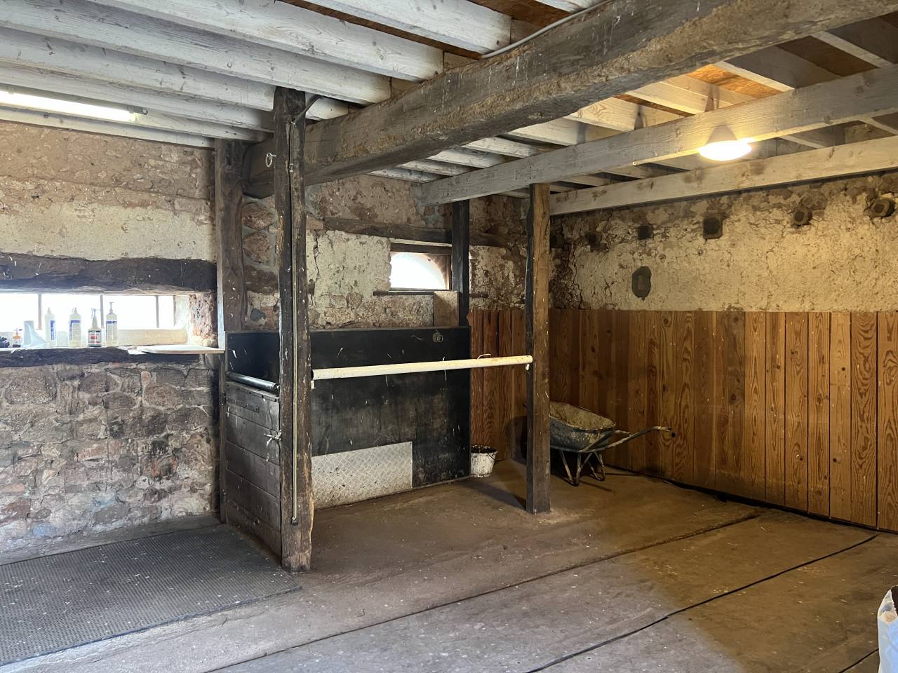 Stoeterij Koop Allier