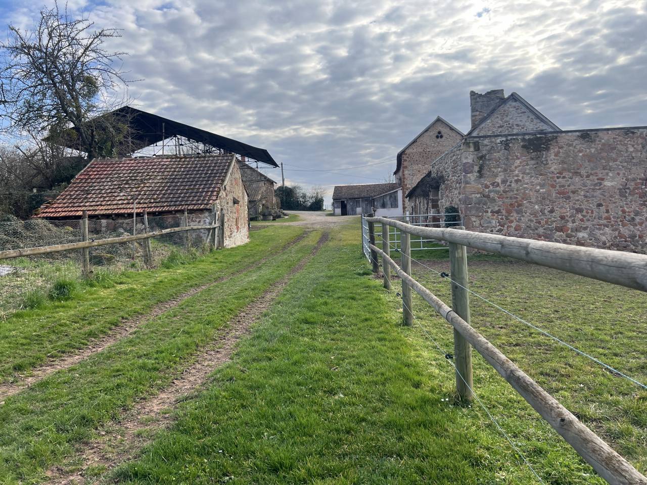 Stoeterij Koop Allier