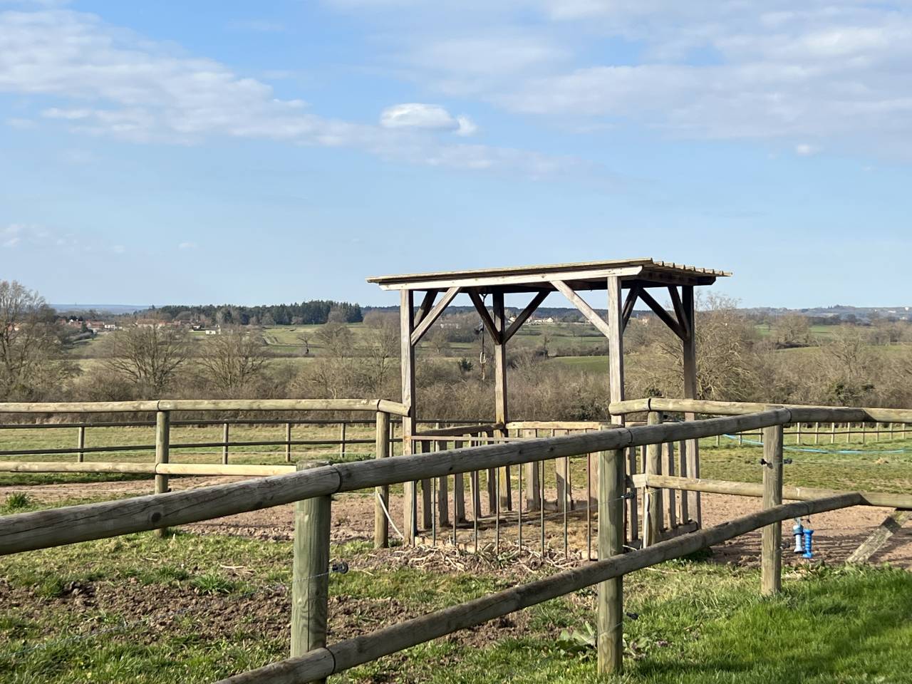 Stoeterij Koop Allier