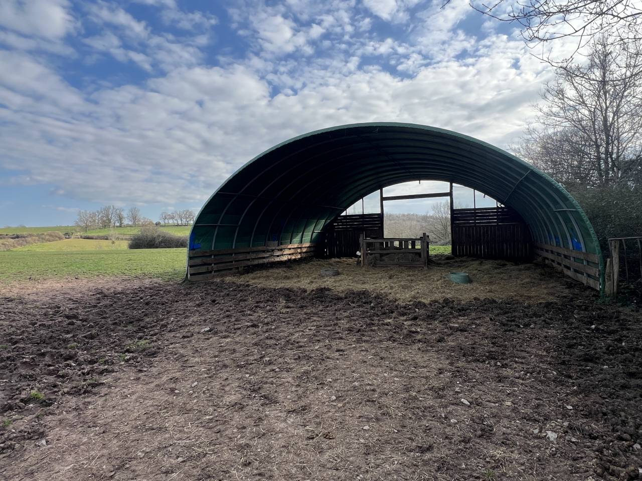 Stoeterij Koop Allier