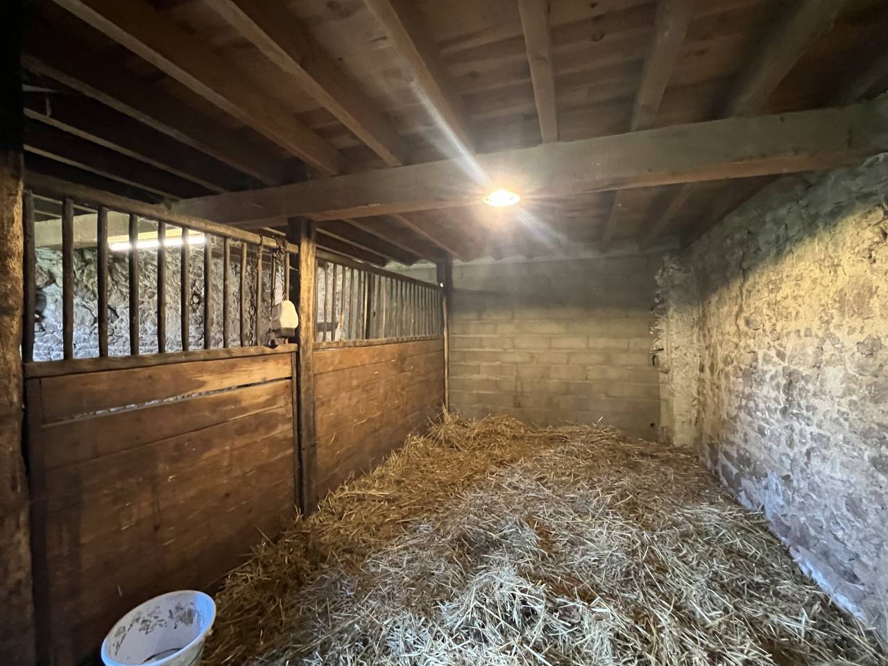 Stoeterij Koop Allier