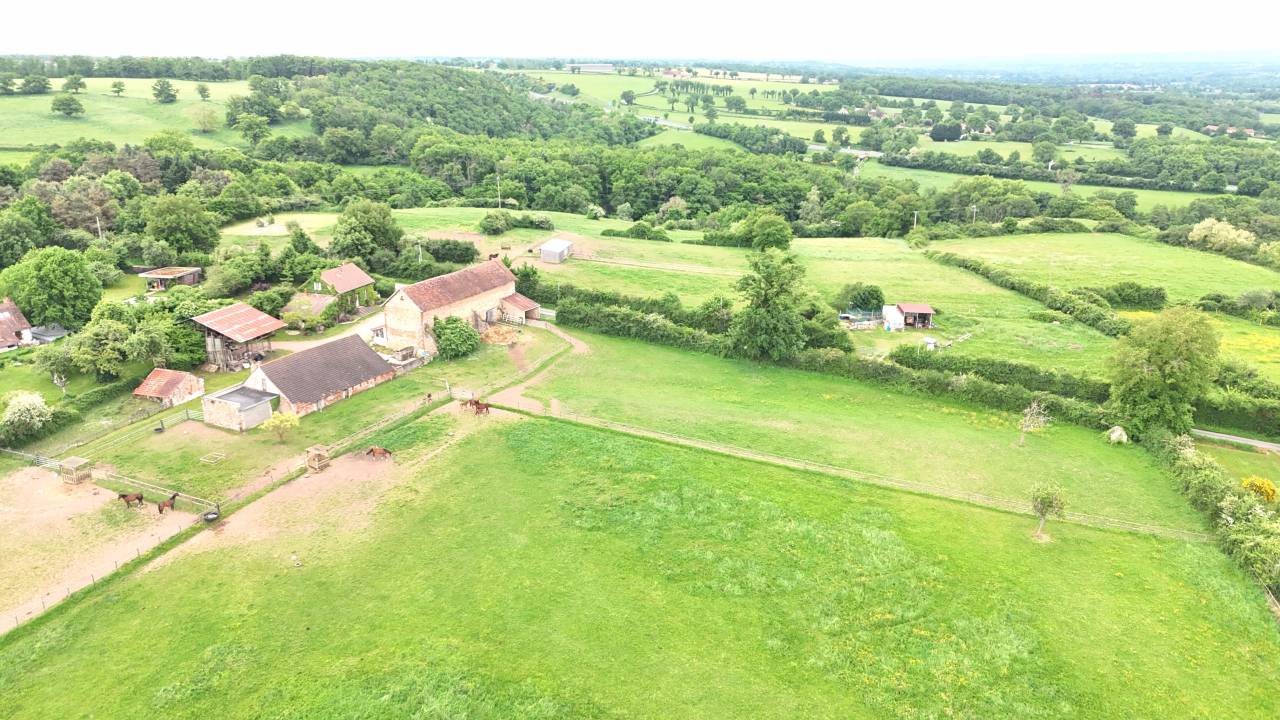 Stoeterij Koop Allier