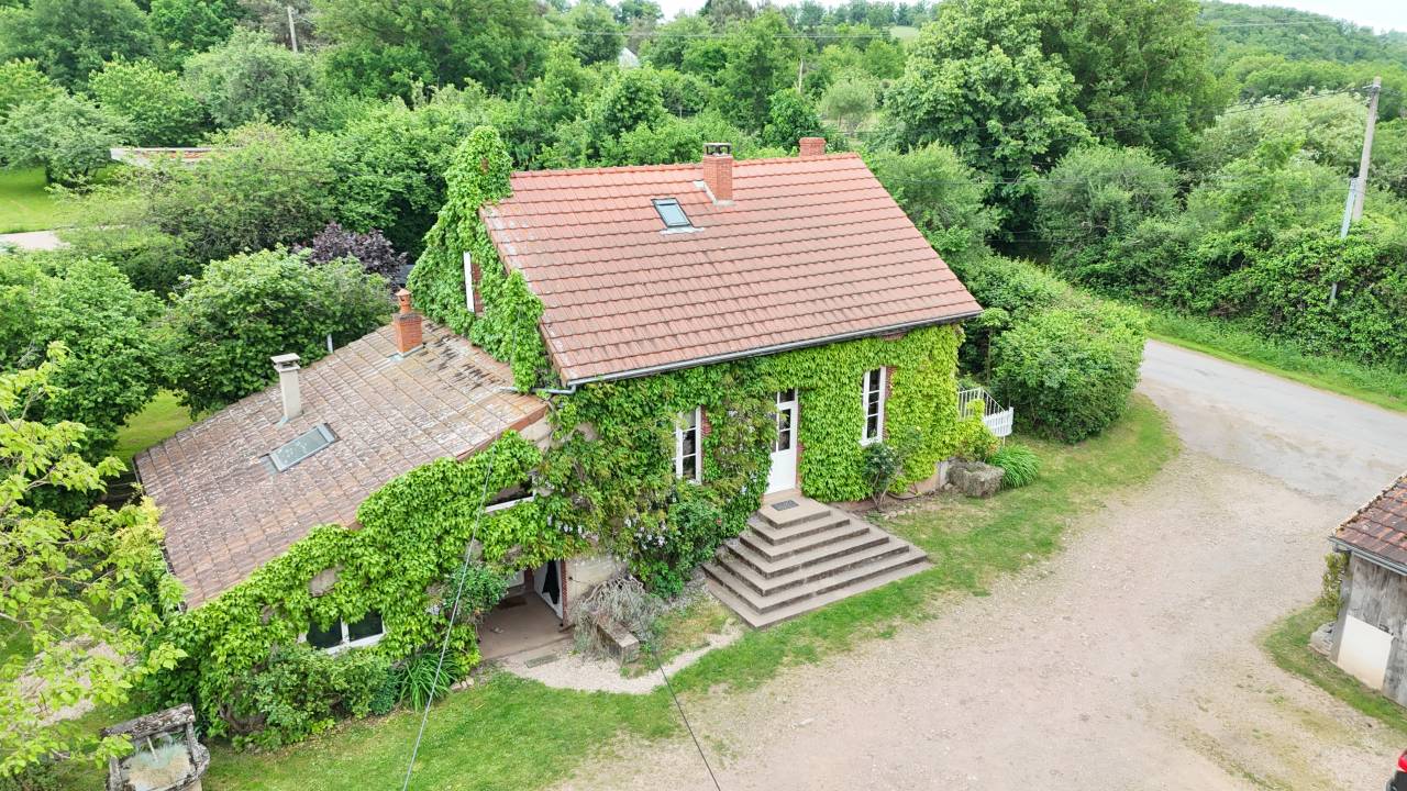 Stoeterij Koop Allier