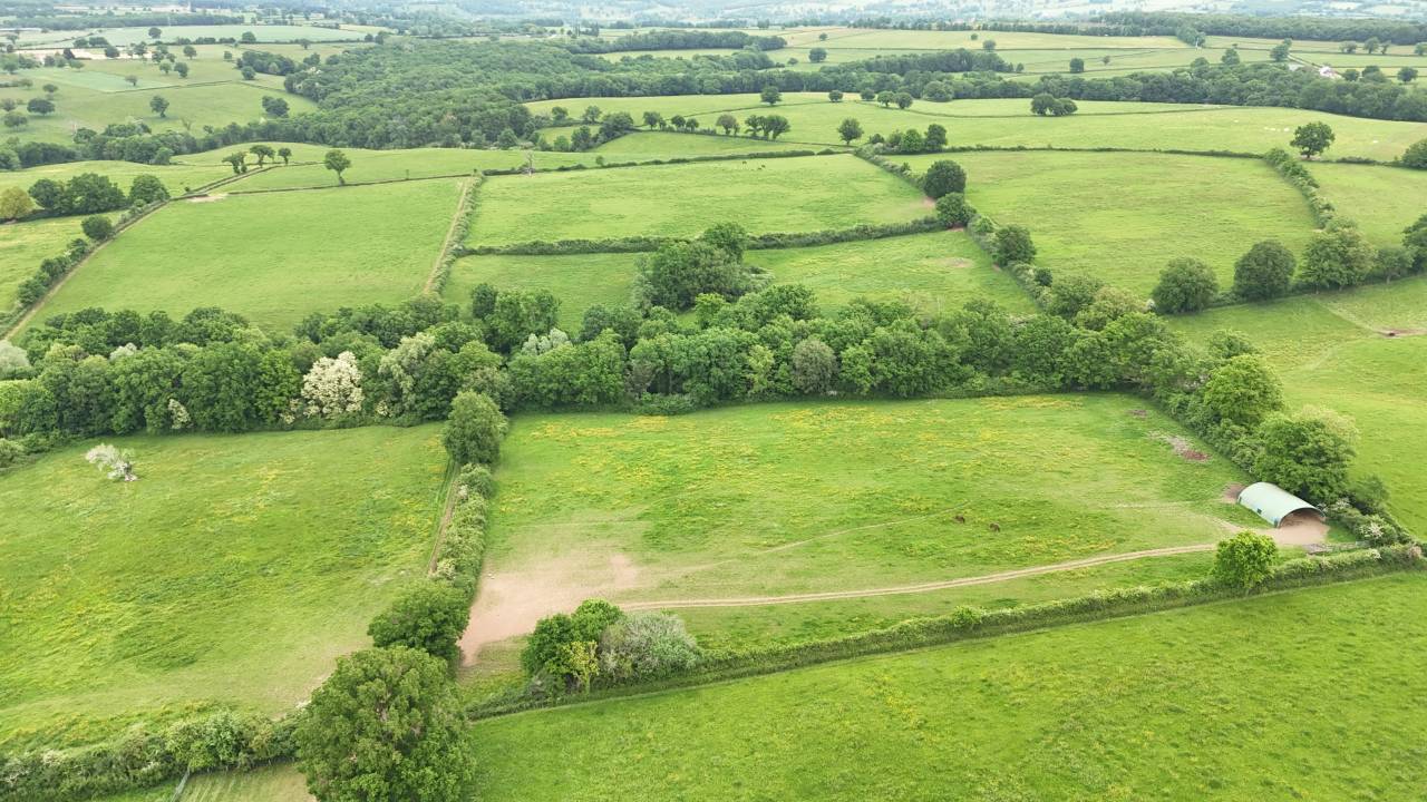 Stoeterij Koop Allier