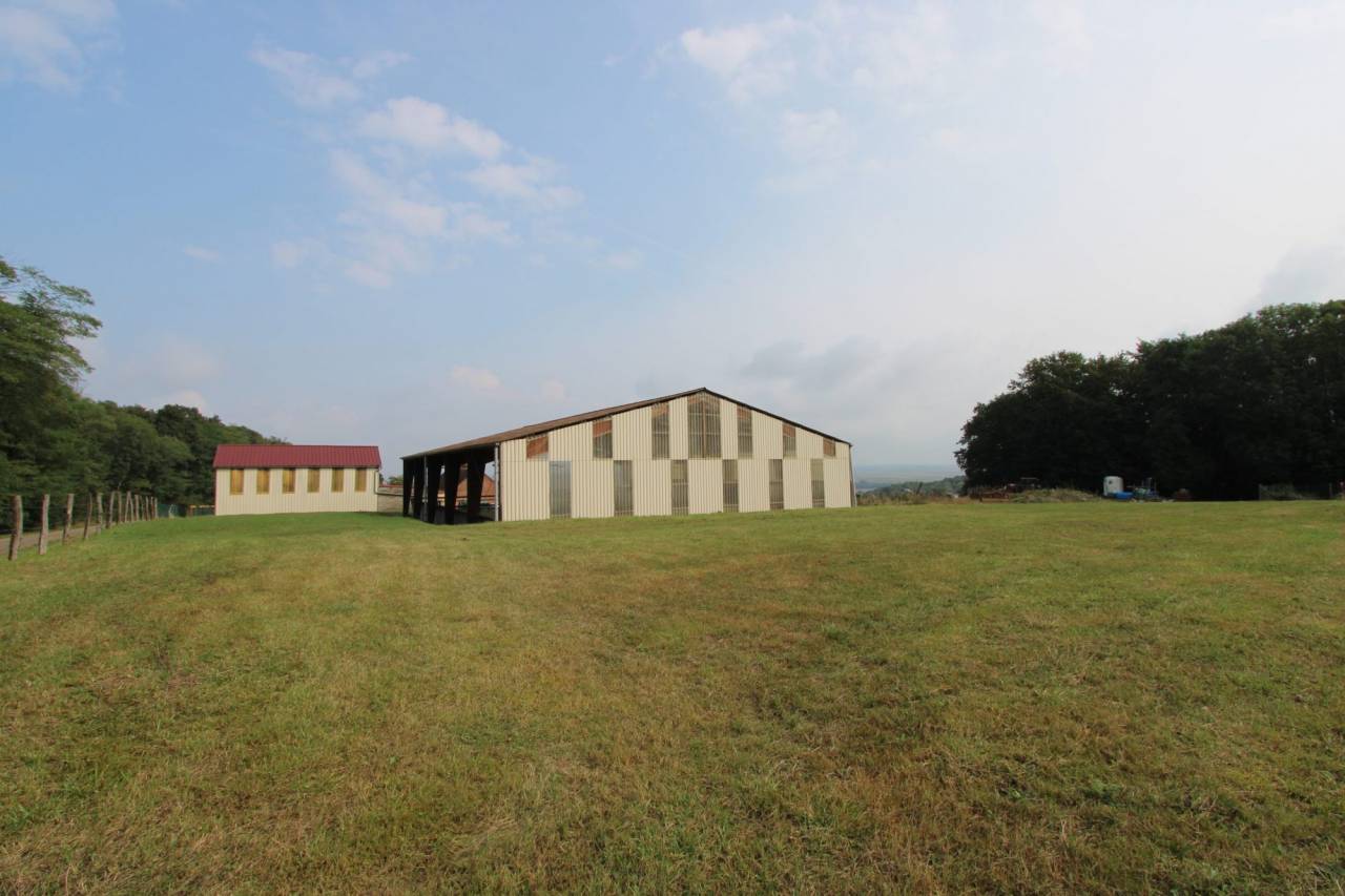 Eigenaren stal Koop Yonne