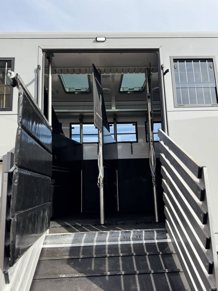 Zware paardenvrachtwagen (groot rijbewijs) Volvo FH 6  2024 Tweedehands