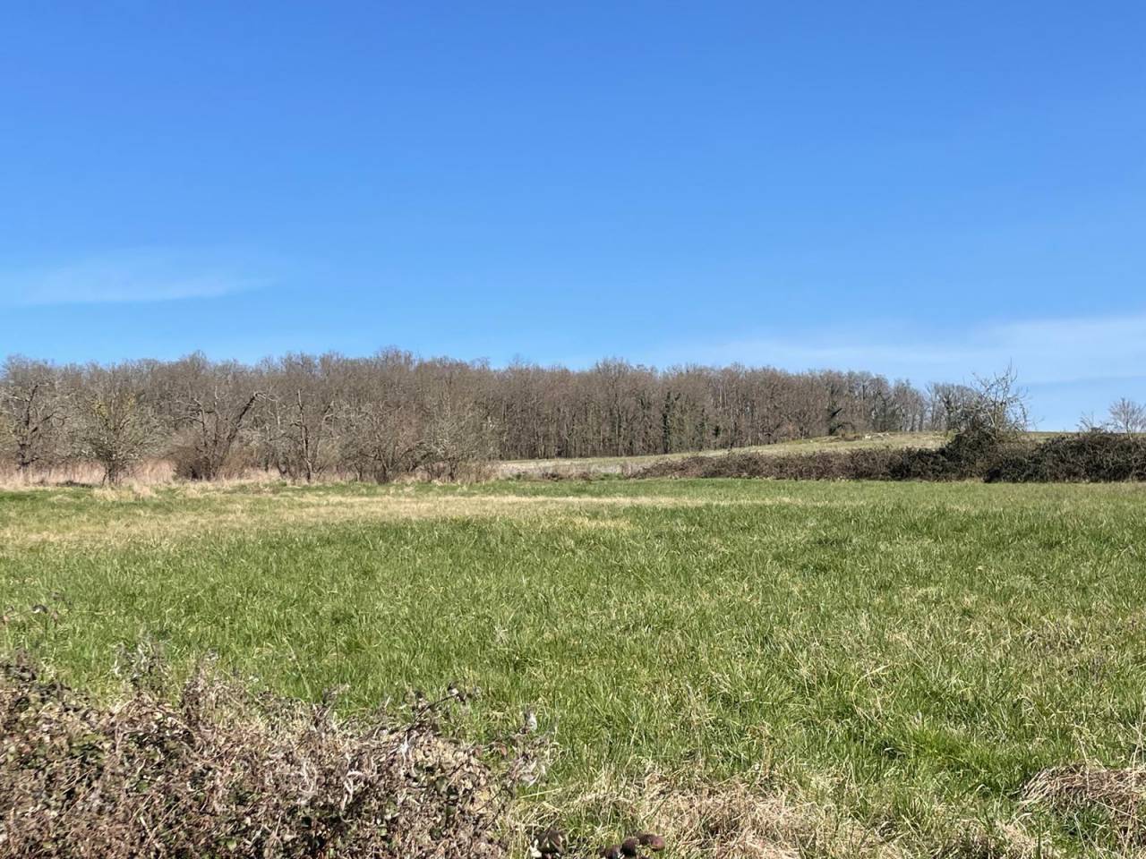 Hippisch vastgoed Koop Dordogne