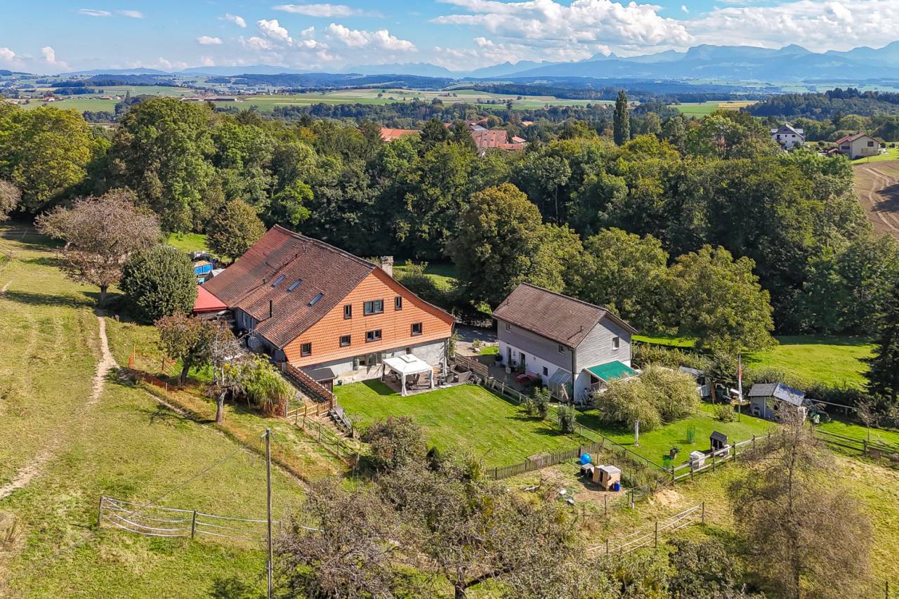 Paarden boerderij Koop Vaud