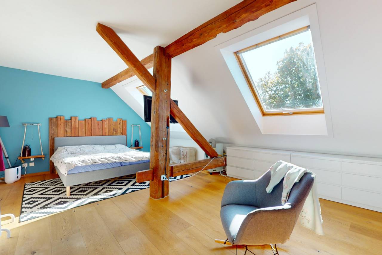 Paarden boerderij Koop Vaud