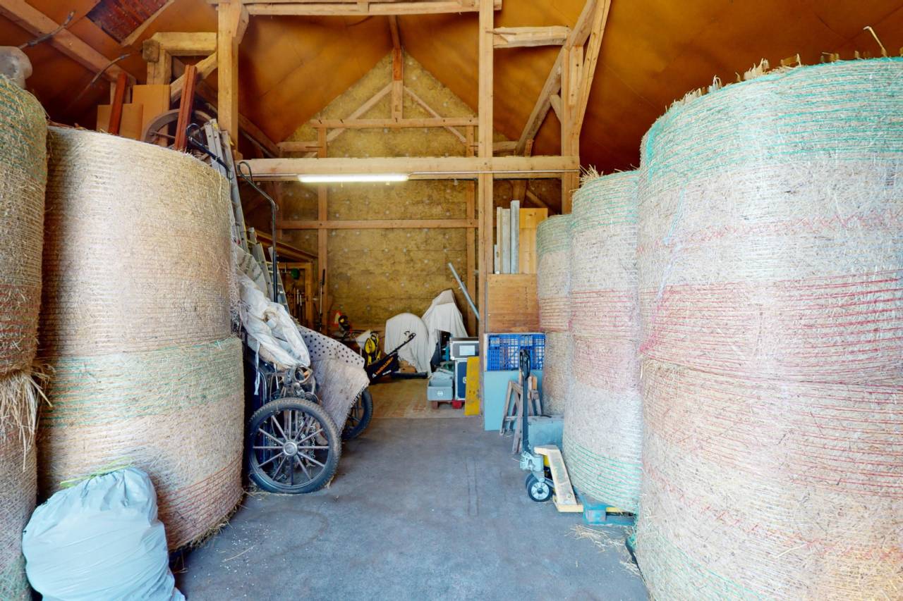 Paarden boerderij Koop Vaud