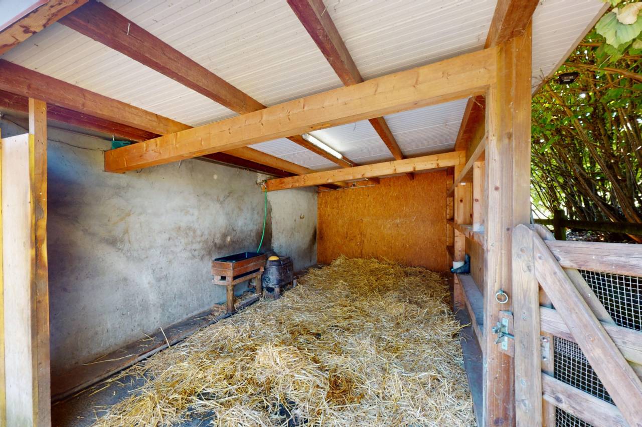 Paarden boerderij Koop Vaud