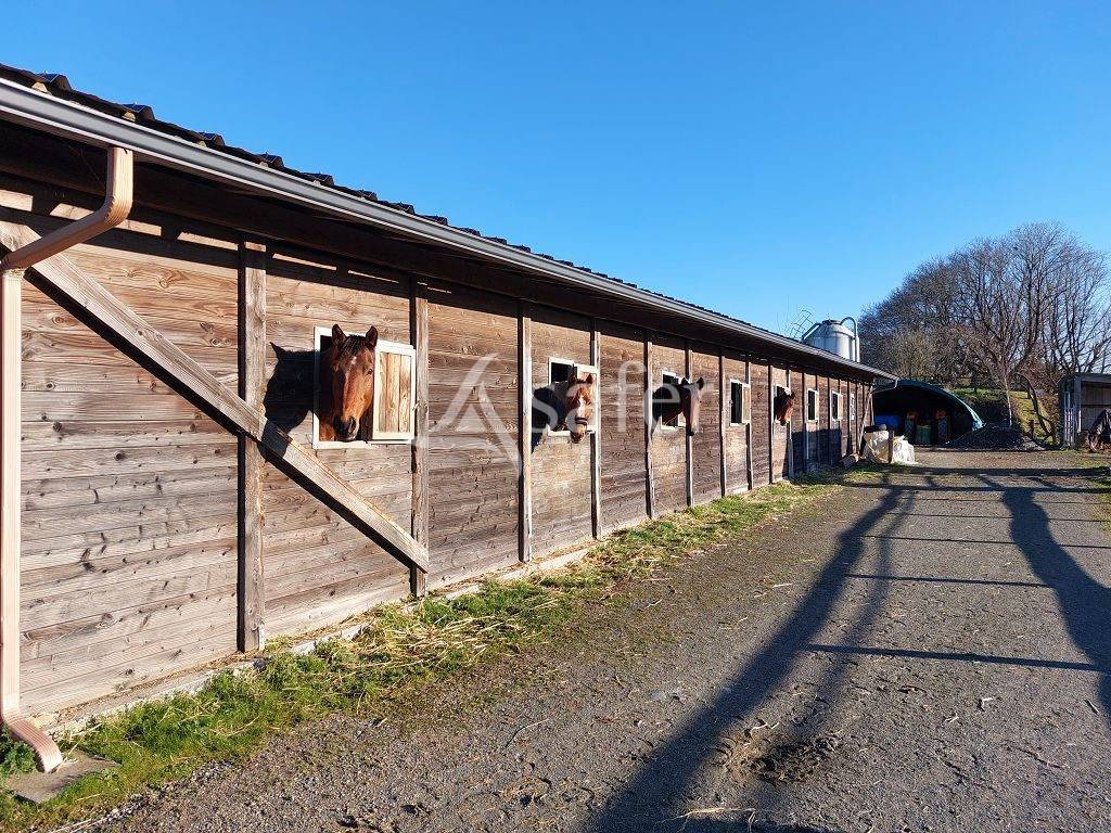 Landbouw bedrijf Koop Corrèze