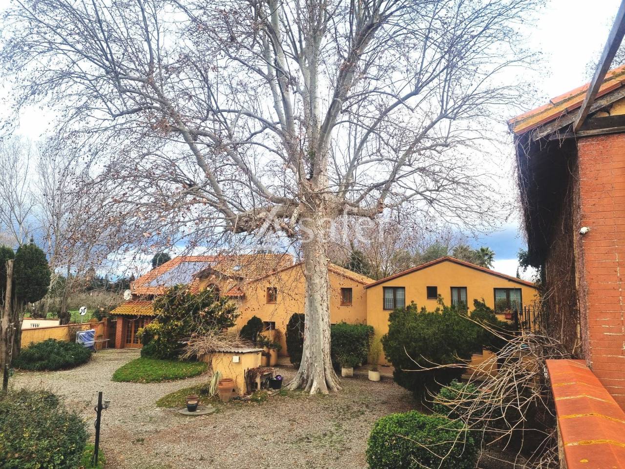 Ander plattelands vastgoed Koop Pyrénées-Orientales