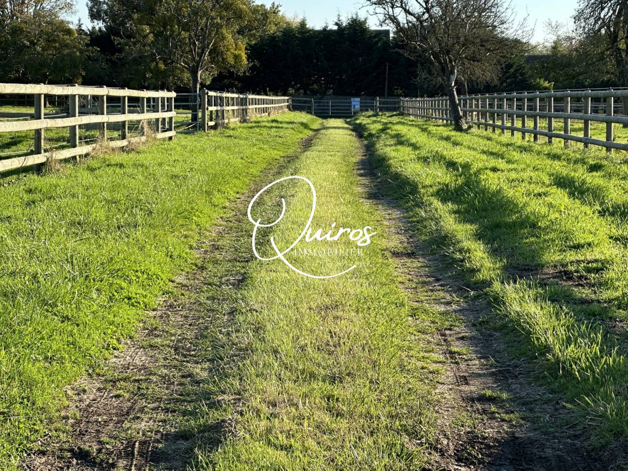 Hippisch vastgoed Koop Calvados