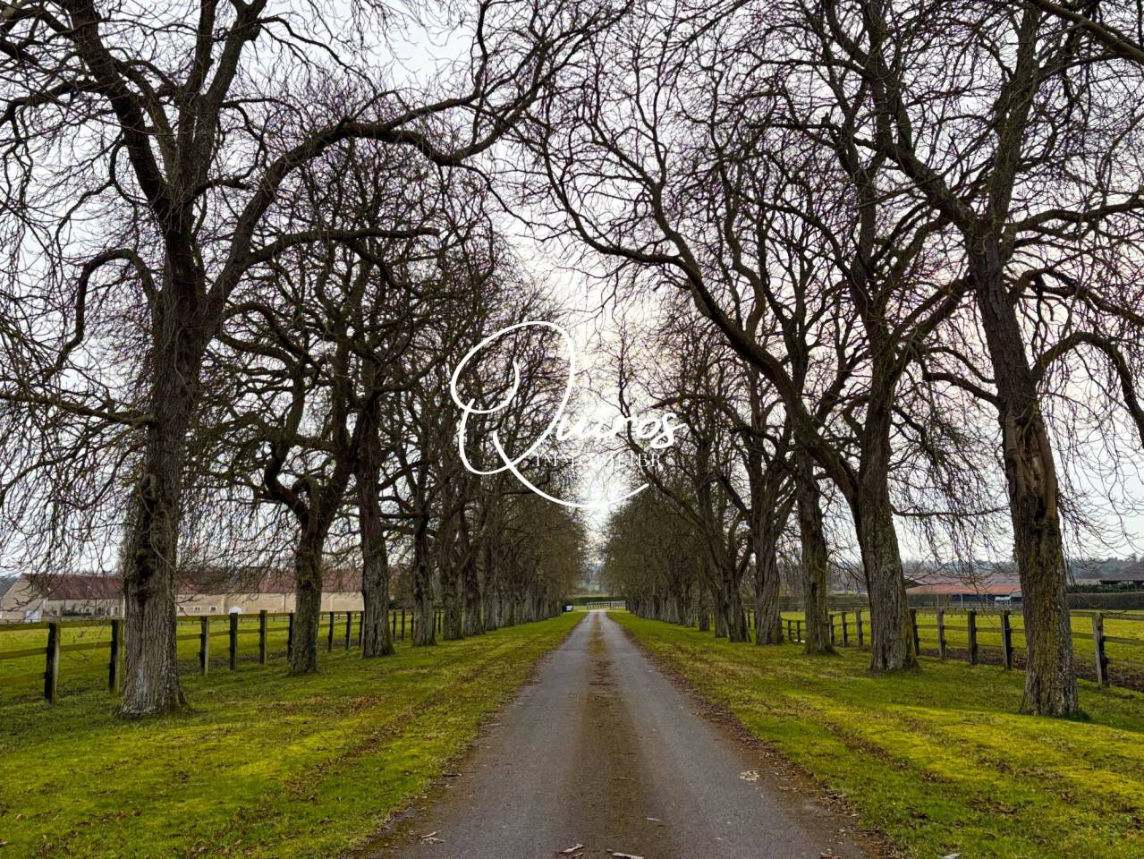 Hippisch vastgoed Koop Orne