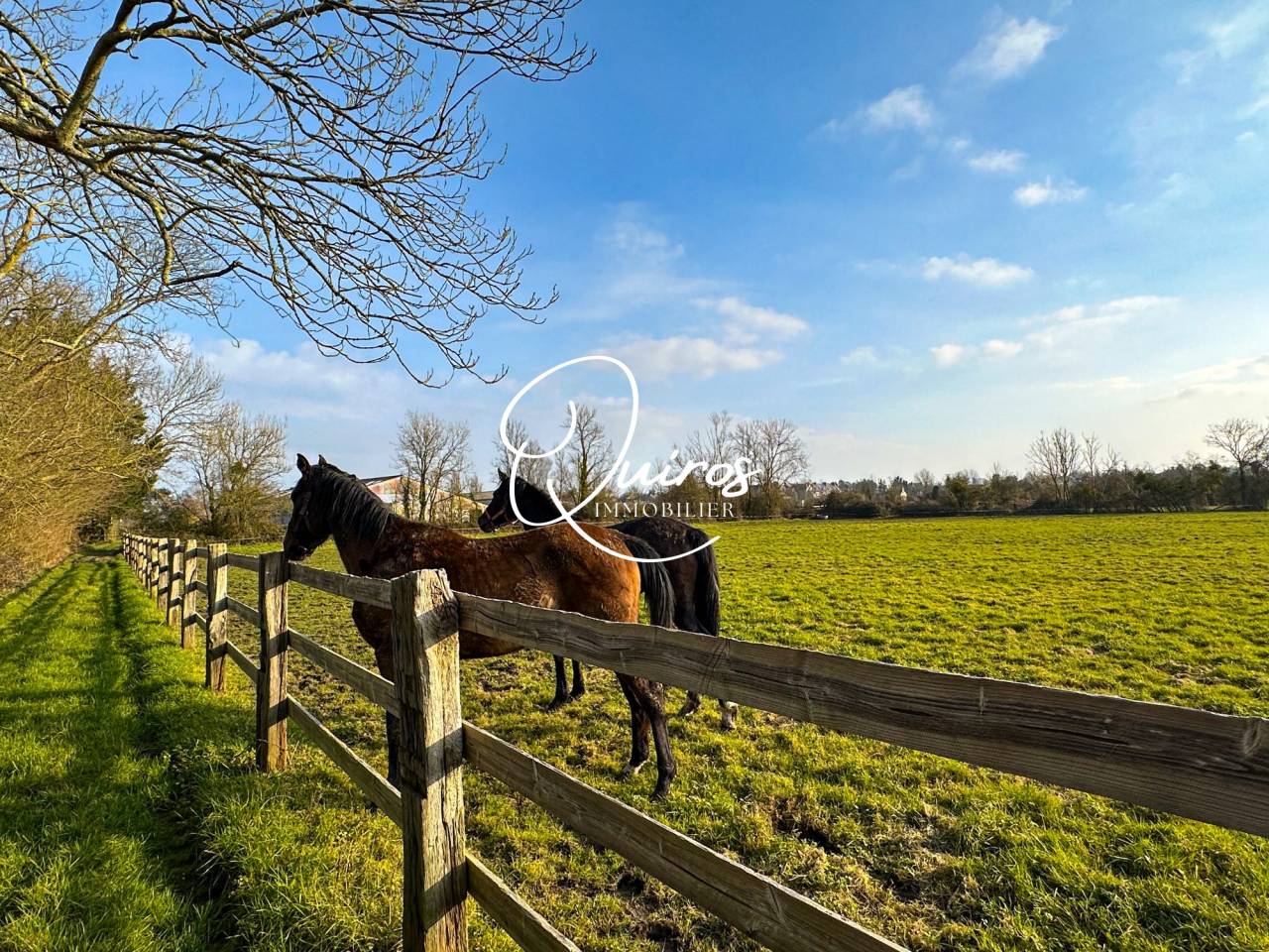 Hippisch vastgoed Koop Calvados