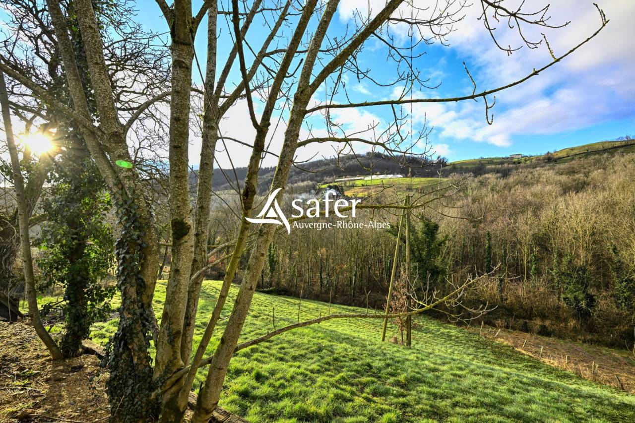 Ander plattelands vastgoed Koop Rh&ocirc;ne