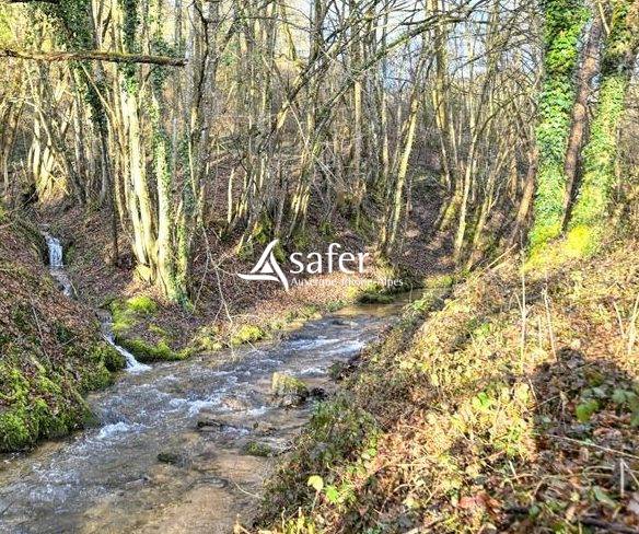 Ander plattelands vastgoed Koop Rh&ocirc;ne