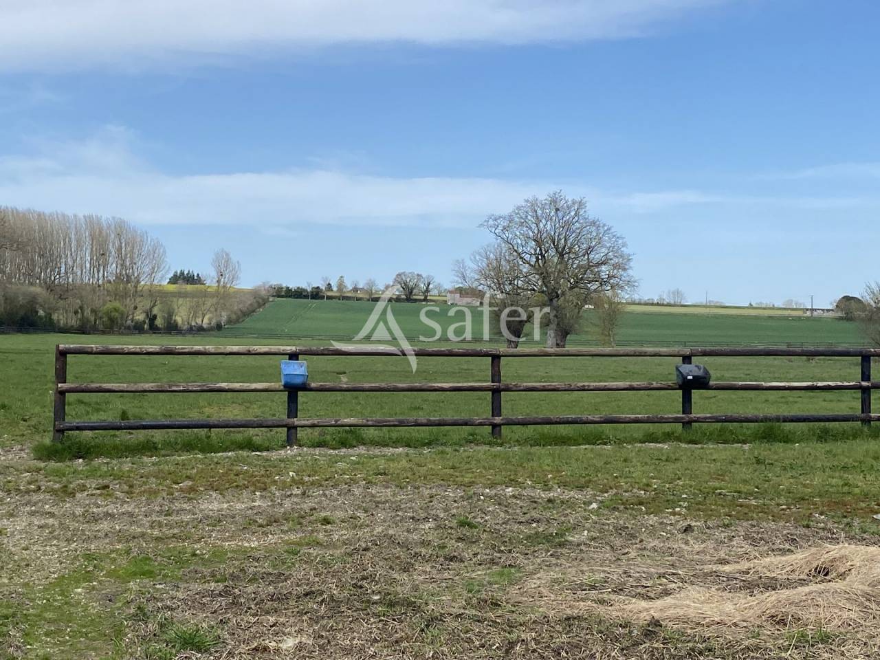 Hippisch vastgoed Koop Orne
