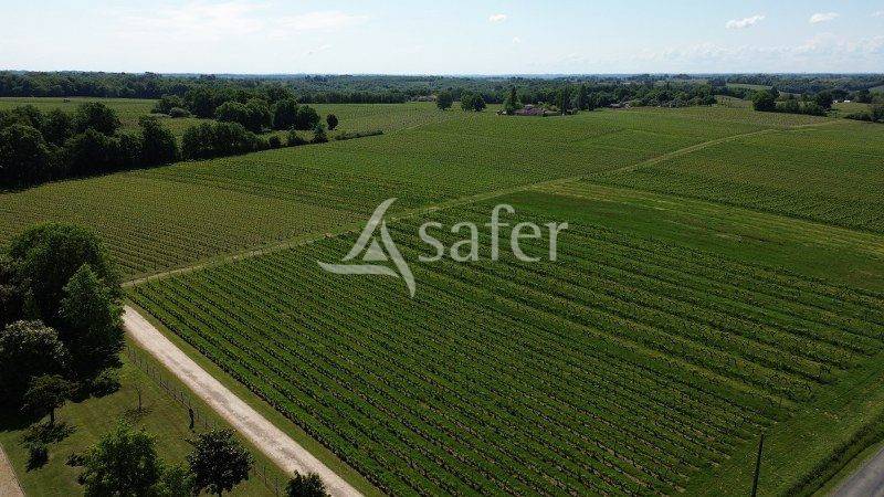 Ander plattelands vastgoed Koop Gironde