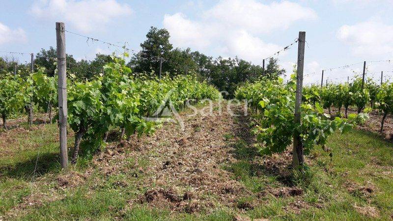 Ander plattelands vastgoed Koop Gironde