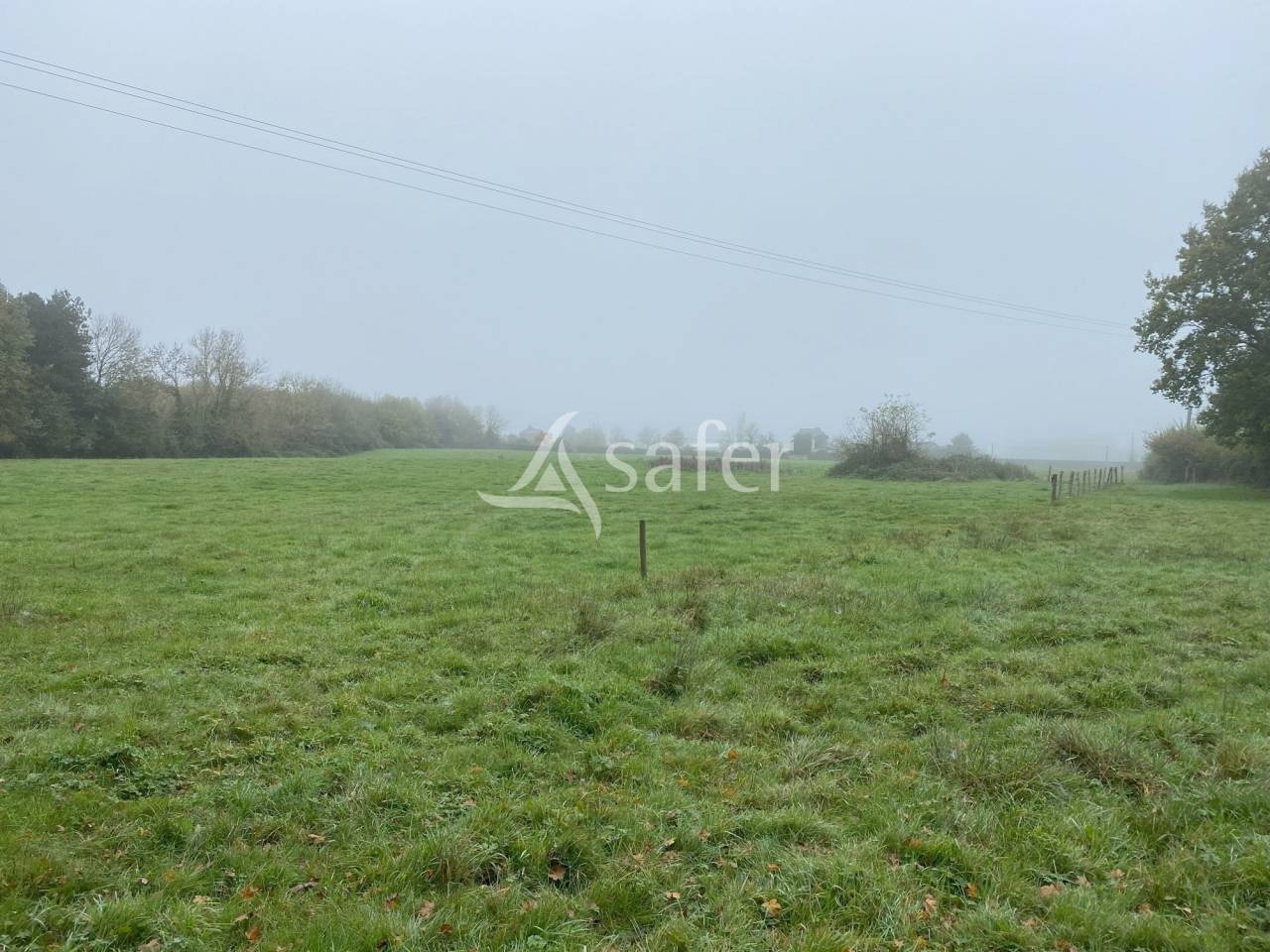 Landbouw bedrijf Koop Calvados