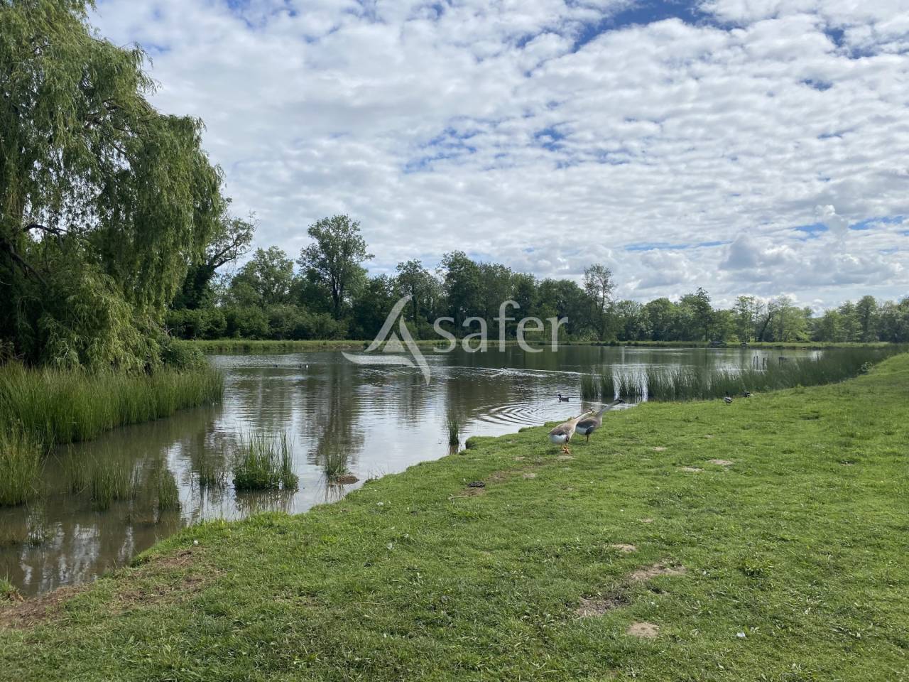 Hippisch vastgoed Koop Ain