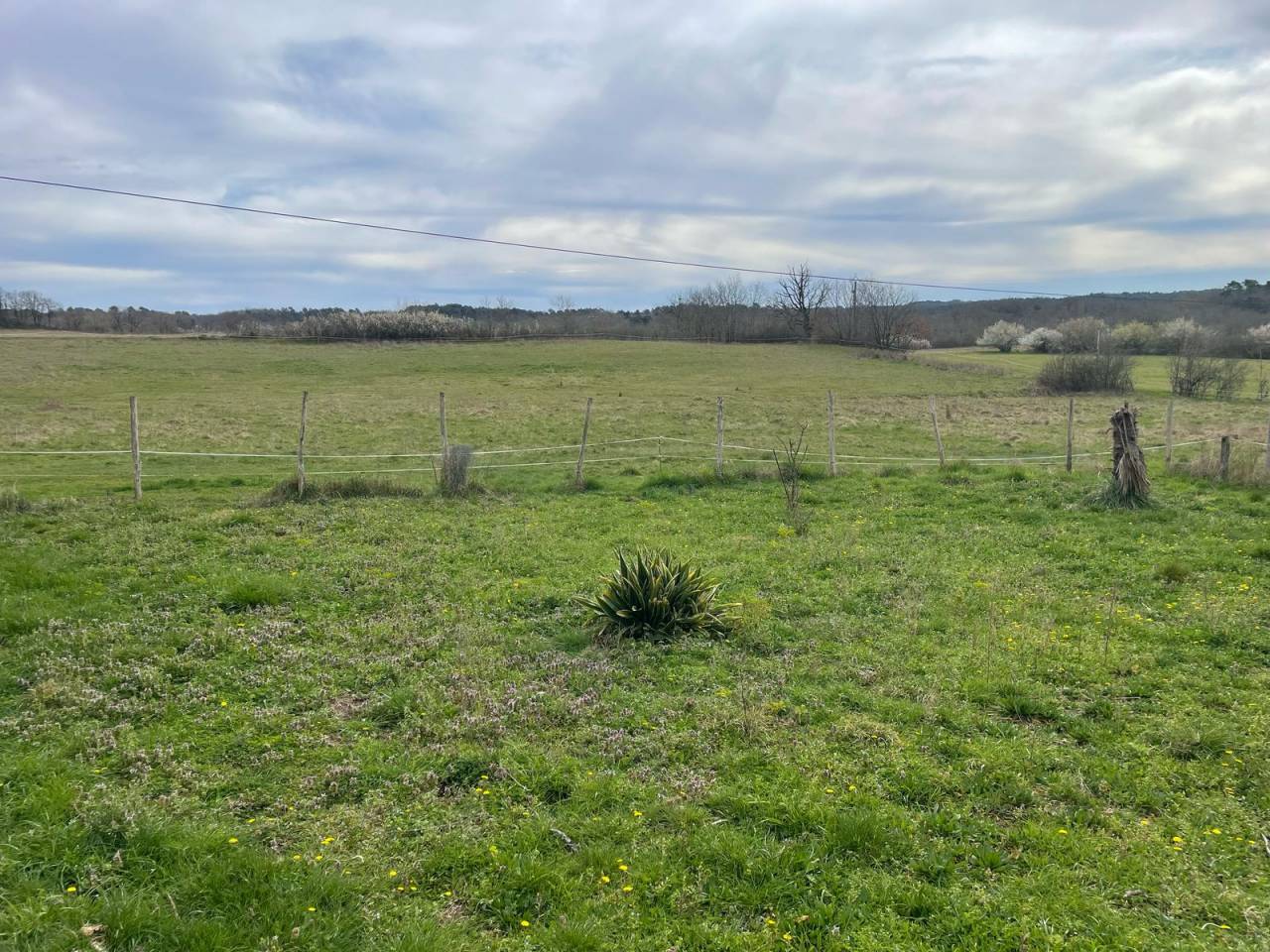 Hippisch vastgoed Koop Dordogne