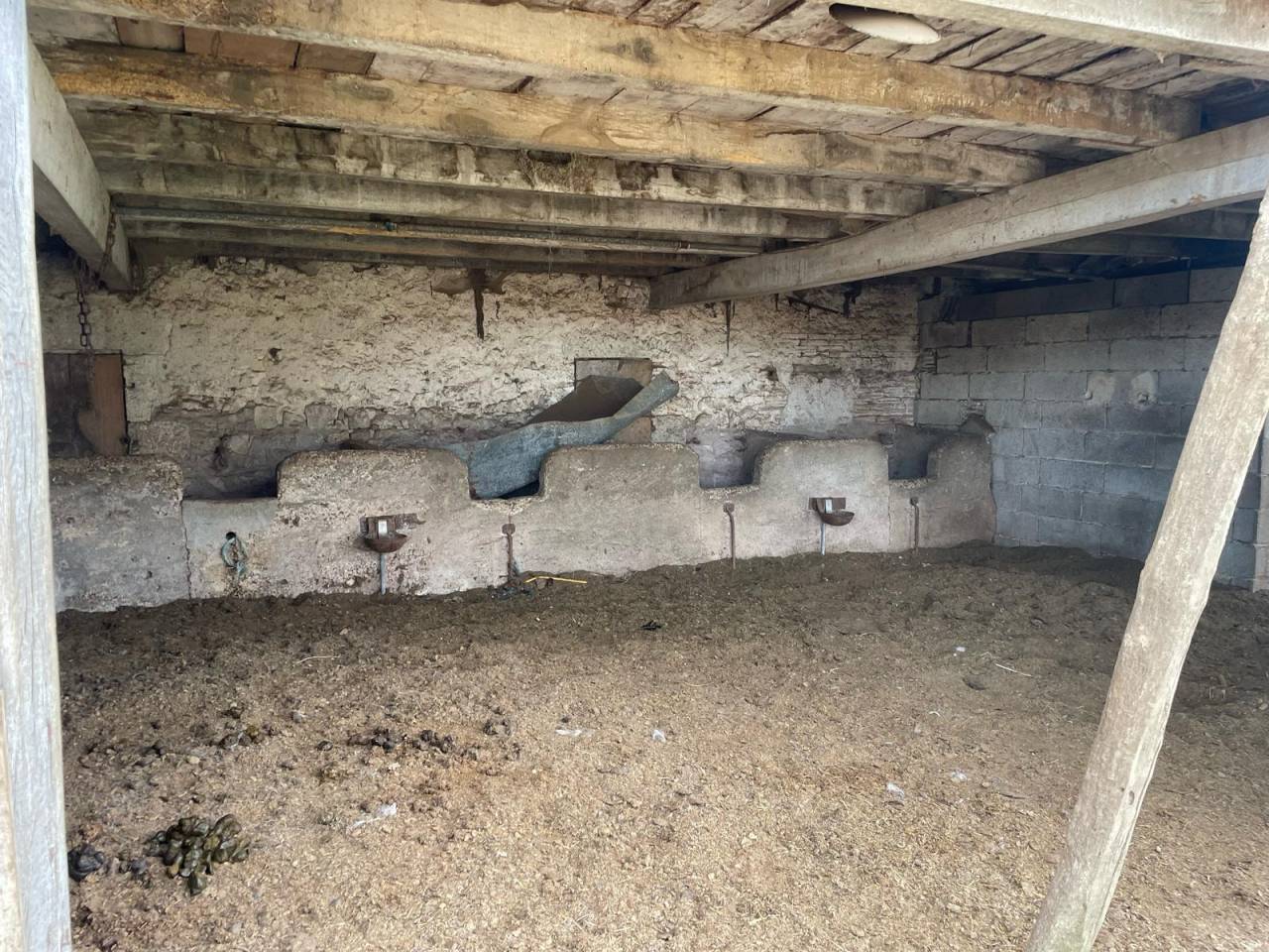 Hippisch vastgoed Koop Dordogne