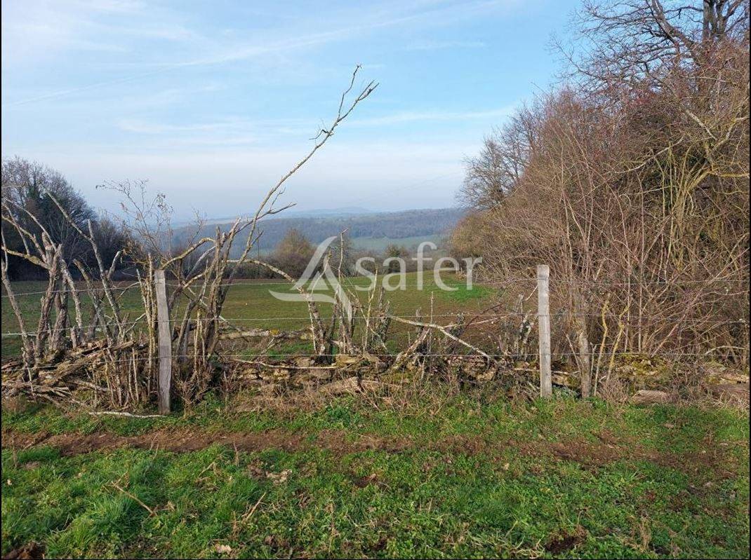 Hippisch vastgoed Koop Saône-et-Loire