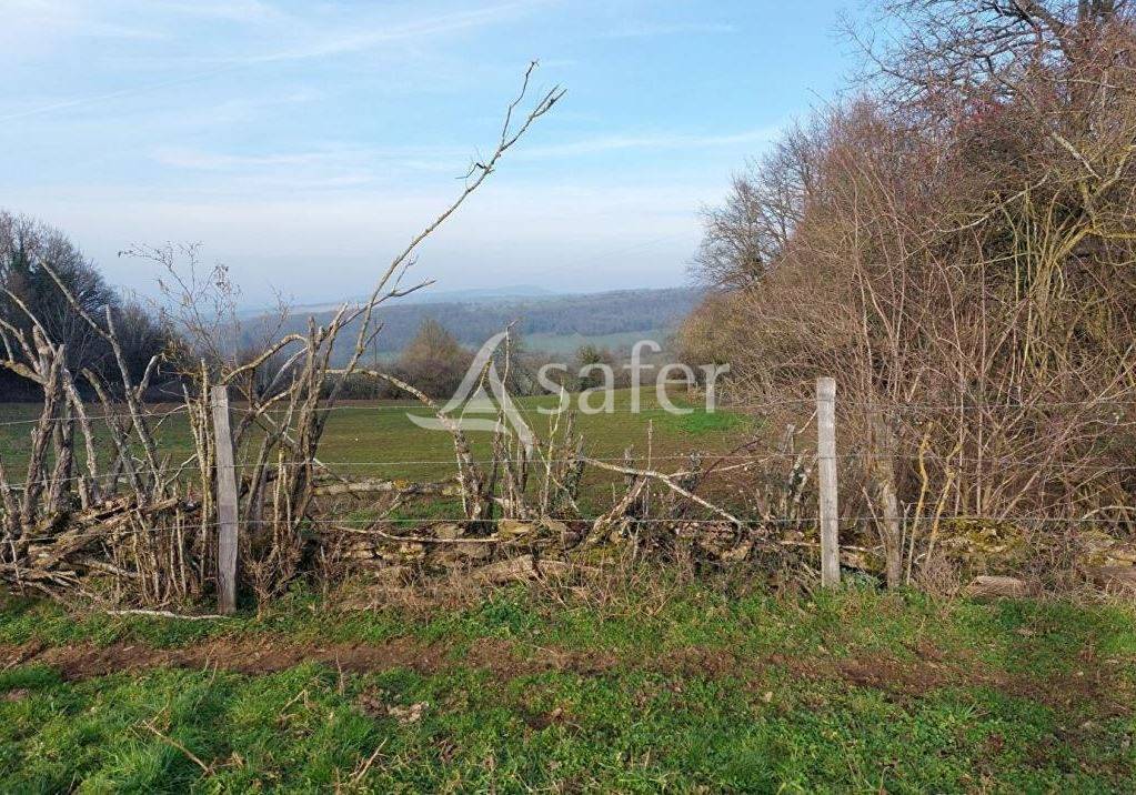 Hippisch vastgoed Koop Saône-et-Loire