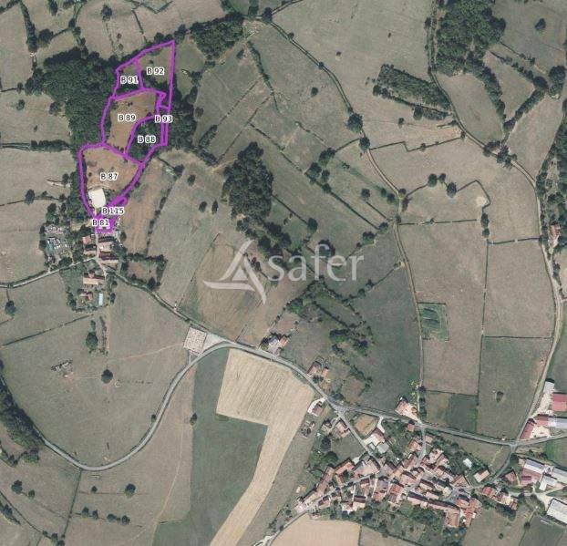 Hippisch vastgoed Koop Saône-et-Loire