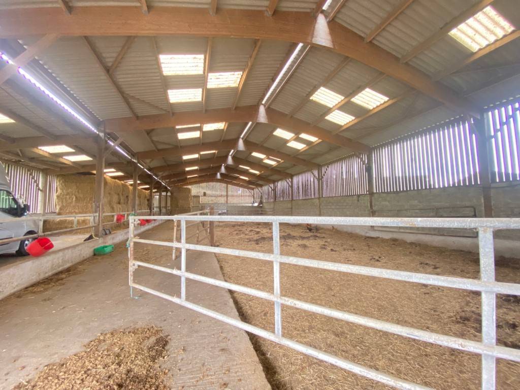 Stoeterij Koop Marne