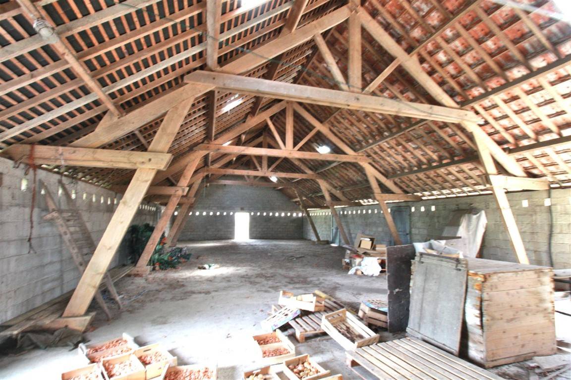 Stoeterij Koop Marne