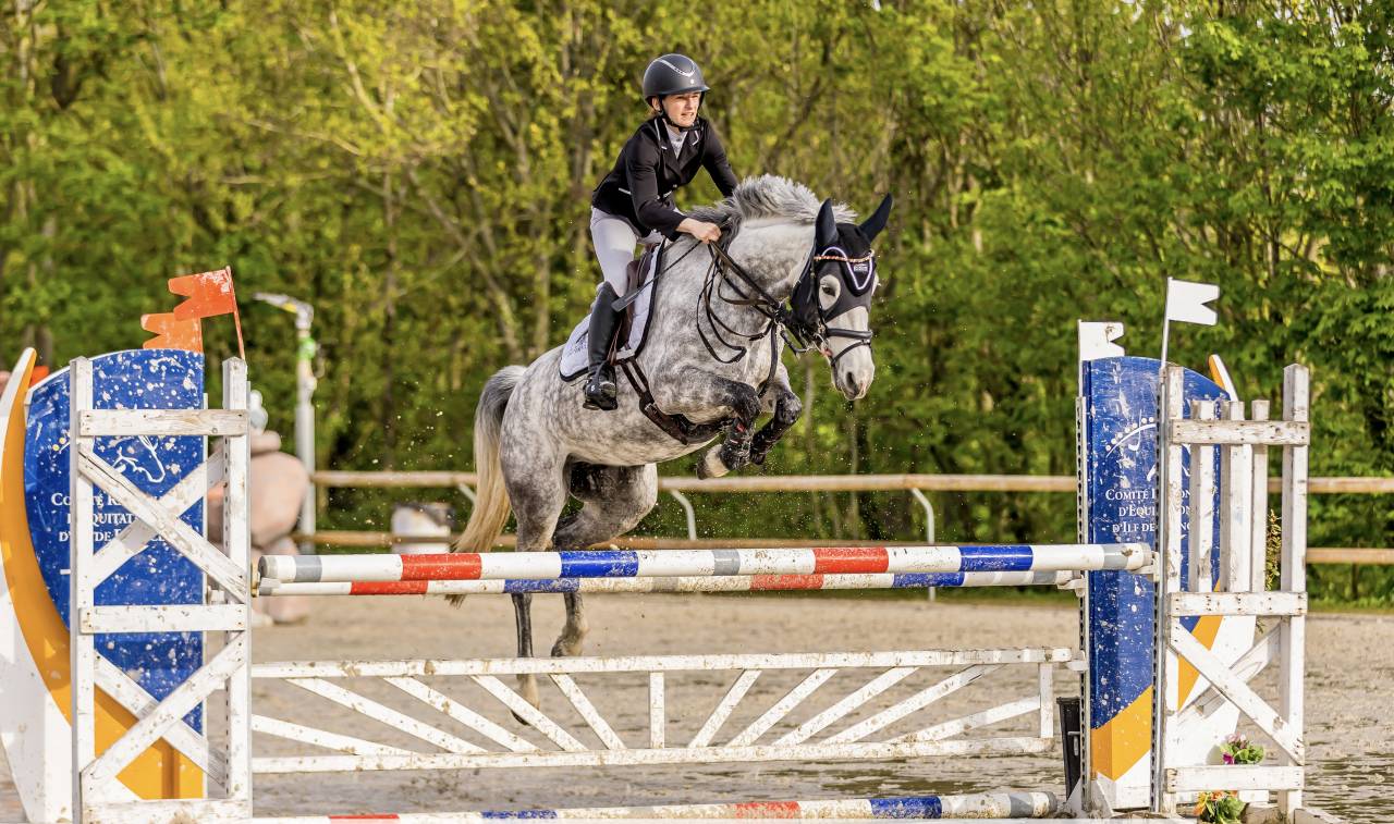 Merrie Franse rijpony PFS Te koop 2016 Schimmel