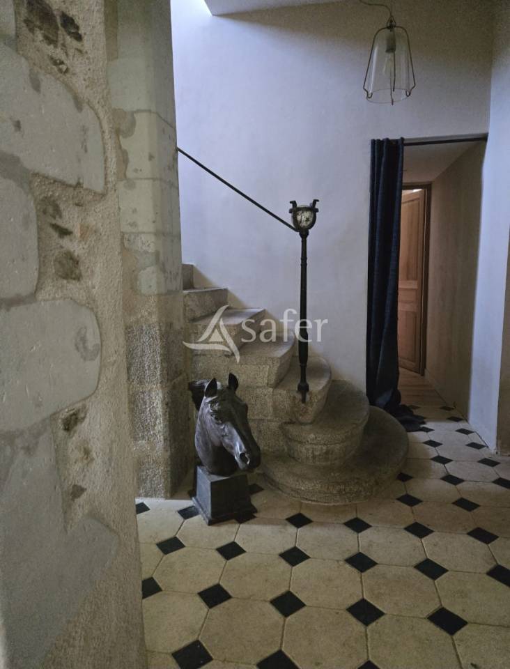 Landbouw bedrijf Koop Vendée