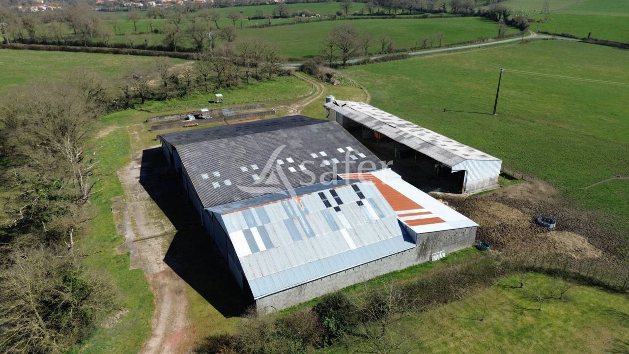 Schapen exploitatie Koop Deux-Sèvres