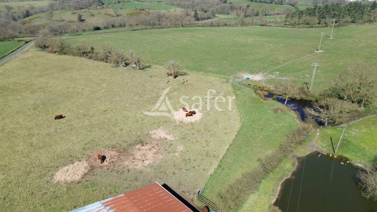 Schapen exploitatie Koop Deux-Sèvres