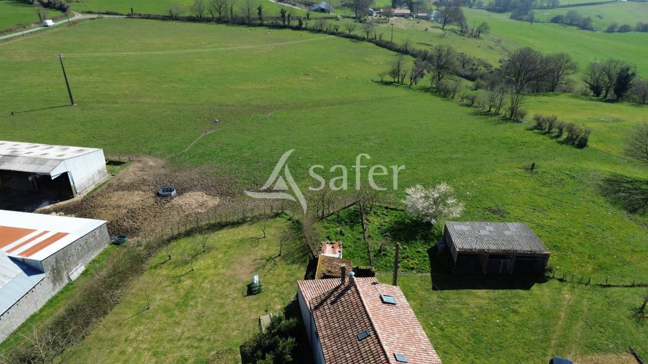 Schapen exploitatie Koop Deux-Sèvres