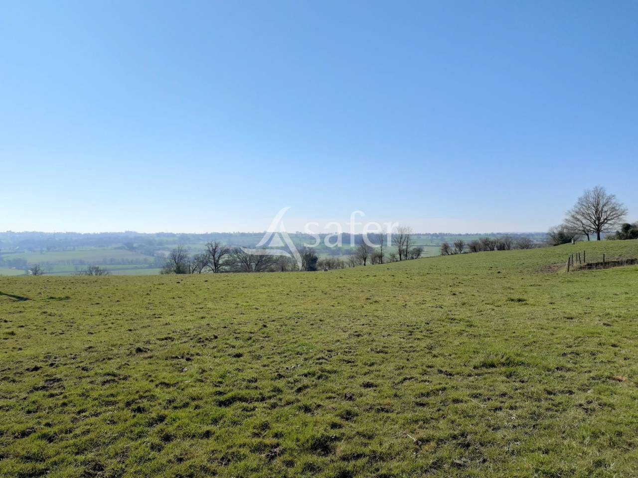 Schapen exploitatie Koop Deux-Sèvres