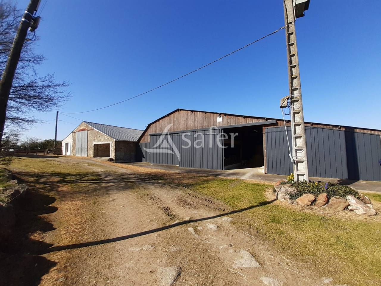 Schapen exploitatie Koop Deux-Sèvres